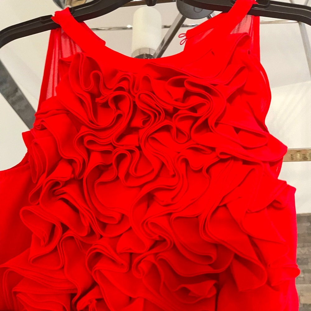 Gorgeous rosette BCBG Maxazria Dress S/M